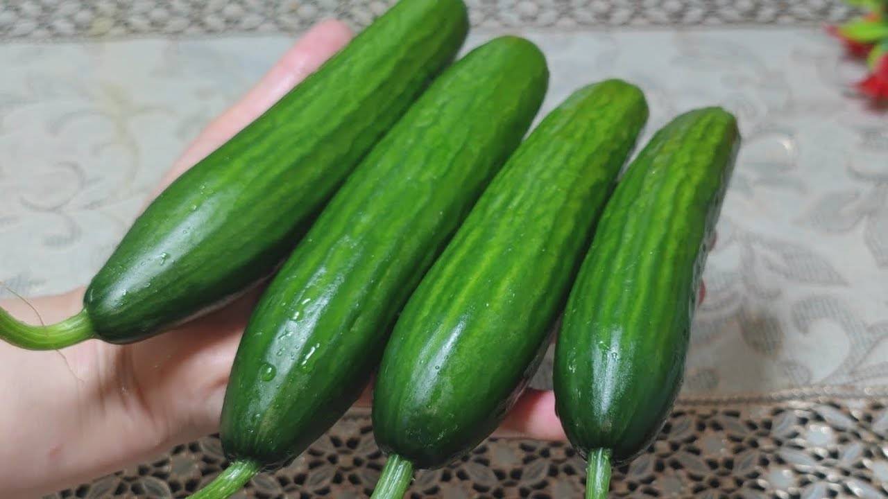 Нереально вкусный салат из самых обычных огурцов