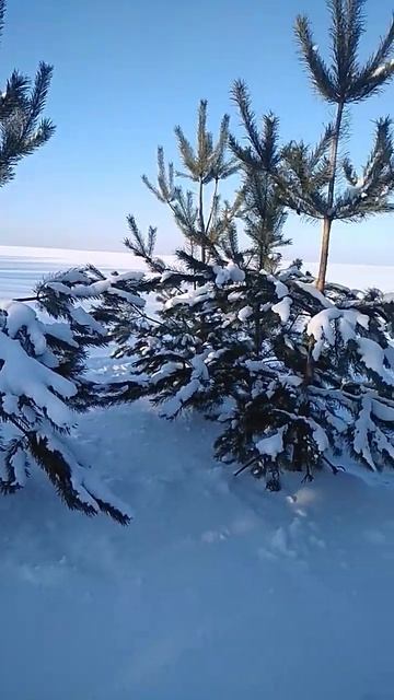 деревенская красота! #родина #родныепросторы #деревня