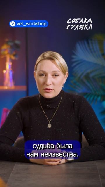 Может ли боль быть причиной агрессии у собак? 🐶 смотреть онлайн