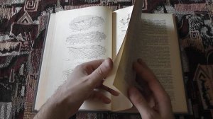 "Филогения ортоптероидных насекомых" (А.Г.Шаров, 1968)