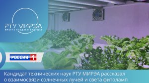 🌱💡Фитолампы: урожай на подоконнике и мифы о «розовом свете»