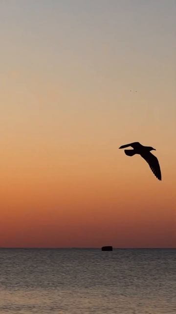 Почему нам страшно быть собой? #вдохновение смотреть онлайн