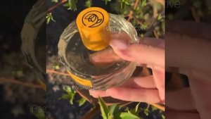 Basilico Fellini Vilhelm Parfumerie обзор и описание аромата