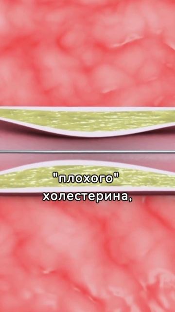Польза гранатового сока для сердца смотреть онлайн