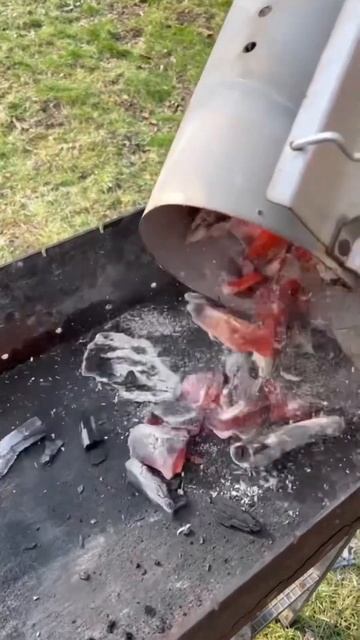 Шашлык из куриных сердечек #shorts #шашлык смотреть онлайн