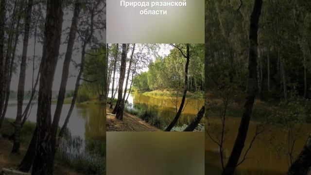 #андрейординарцев #природапрекрасна #природароссии  П