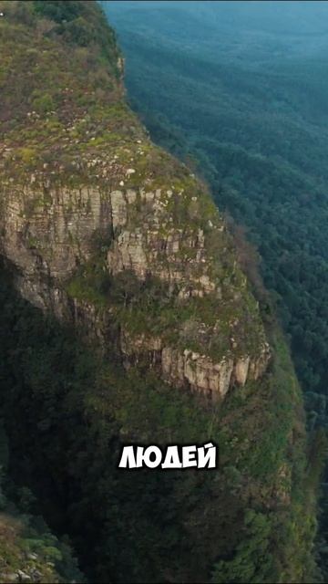 Есть много разных способов смотреть онлайн