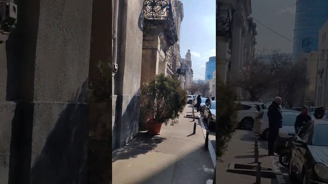 Поиск национальной парламентской библиотеки Грузии в