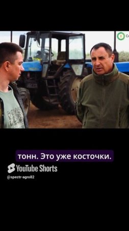 Сколько дает один миндальный сад? Урожайность миндаля.