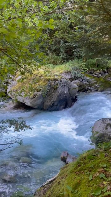 Красивая река в Краснодарском крае #река #рекалаба #ма? смотреть онлайн