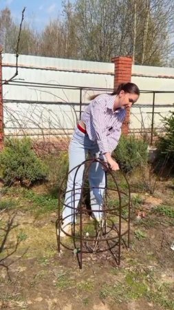 Хочешь шикарные пионы — ставь опору сейчас!