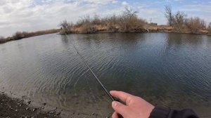 Gamakatsu ten 61. Первый взгляд. Рыбалка 2025.