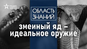 Что происходит с телом, когда в него попадает змеиный яд? Лекция биолога Натальи Носовой