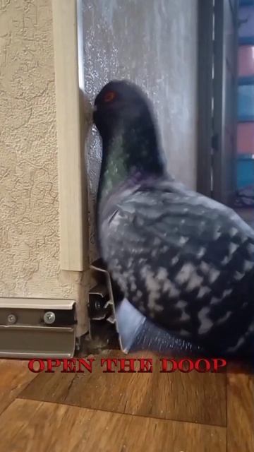 Как войти в состояние потока