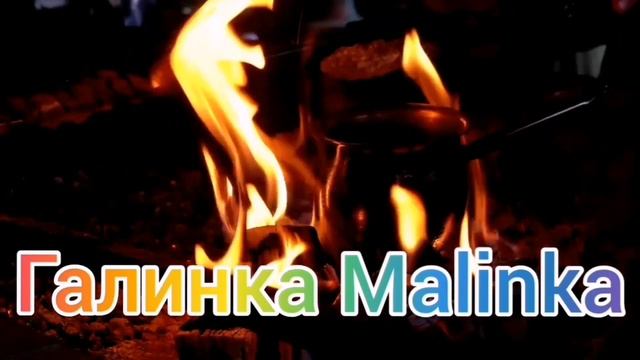 Big Big Family in the USA /Лиса в Америке /Лена с Лисой теперь друзья /Обзор /Жизнь в США