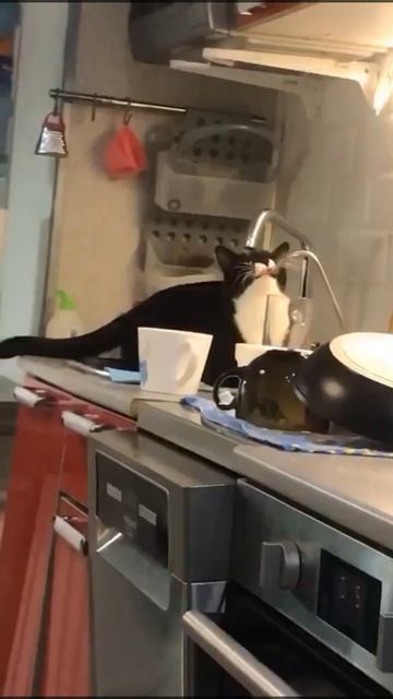 В Питере пить смотреть онлайн