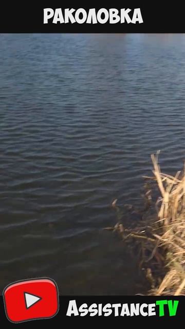 Как сделать РАКОЛОВКУ за 5 минут! ЛОВЛЯ РАКОВ ВЕСНОЙ смотреть онлайн