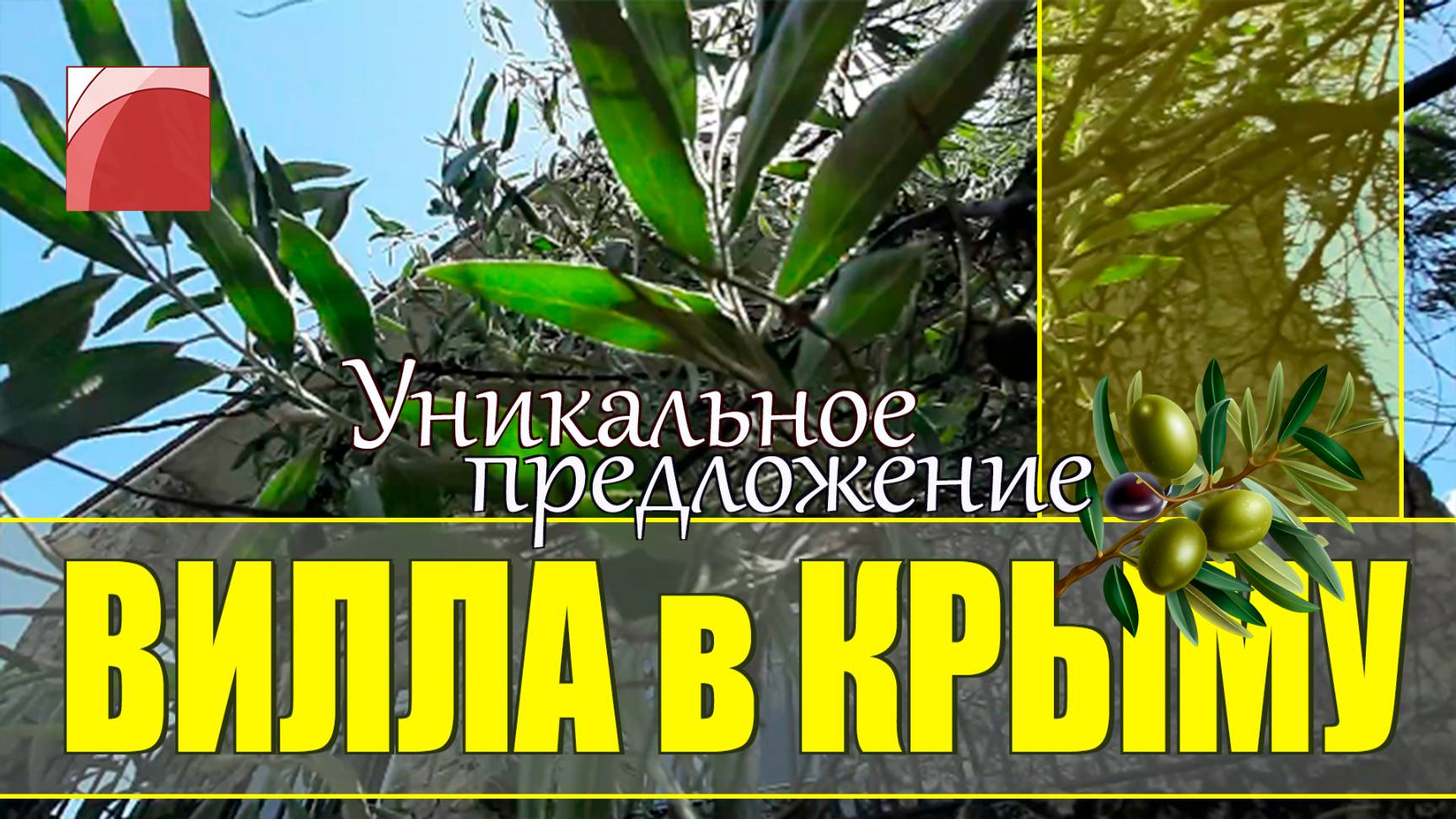Продажа виллы в Крыму. Дом с землей у Черного моря в пгт Орджоникидзе.