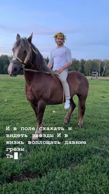 #ввпоэзия #авторскоетворчество #лошади #конныйспорт #поэзия #творчество
