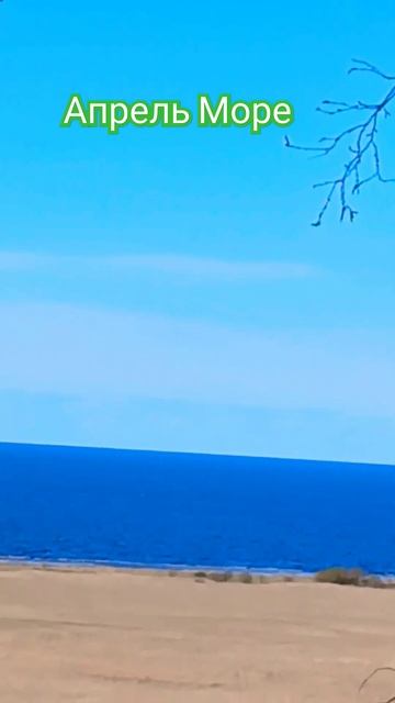 #АлексейРоманюта #Забудь #природа #море #шансон #шортс # смотреть онлайн