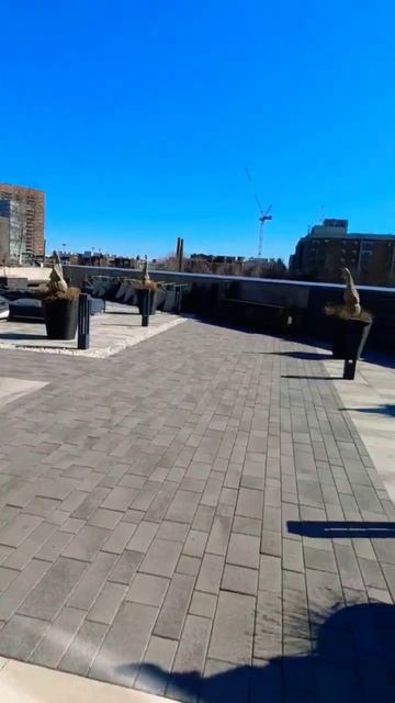Барбекю терраса в здании #жизньвканаде #жизньвторонто