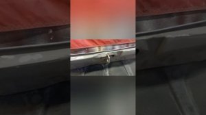 Hyundai Accent замена капота, бампера, фар. регулировка зазо?