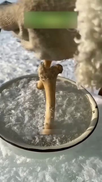 Холодильник из льда смотреть онлайн