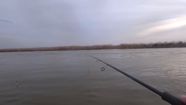 КАКАЯ РЫБАЛКА В АСТРАХАНИ В МАРТЕ 2025? РЕЗУЛЬТАТ ЕСТЬ! смотреть онлайн