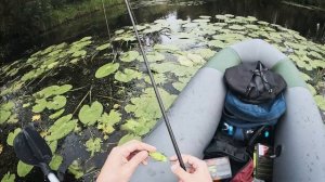 ЩУКА на неогруз в кувшинках. Рыбалка на пакрафте. Севе?
