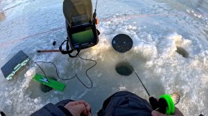 Ловля форели зимняя рыбалка 2025