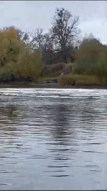 Водопад в г. Знаменск Калининградской области смотреть онлайн