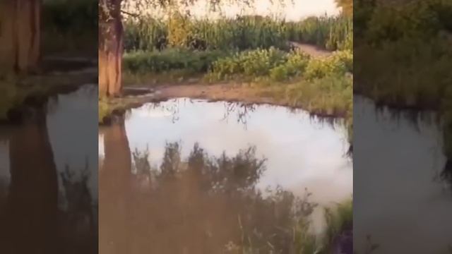 Строительство колодцев в Африке смотреть онлайн