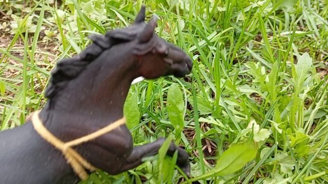 сериал колдунья 2 серия смотреть онлайн