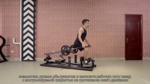 Выпады с отягощением Smith SH023