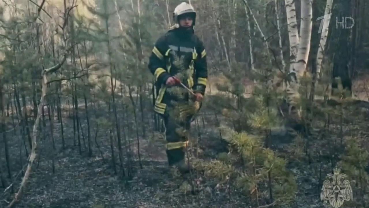 МЧС РФ усилило авиагруппировку для стабилизации лесопожарной обстановки в Забайкалье