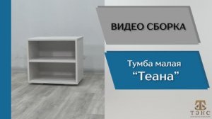 ТЭКС
Видео сборка. Спальня Теана. Тумба прикроватная малая.