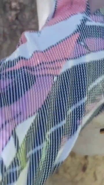 Кормлю белок в горах Алматы смотреть онлайн