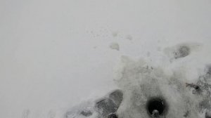 Зимняя рыбалка на Сямозере. Январь 2024г.