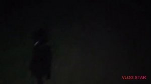 Ночная прогулка с Японским Хином