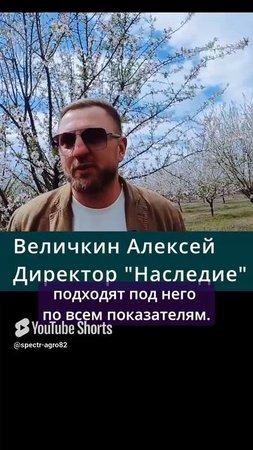 Сад крымского миндаля