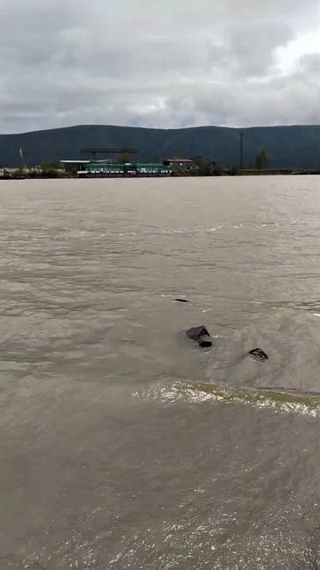 Николаевск на Амуре.На речке. #дальнийвосток #Россия #л смотреть онлайн