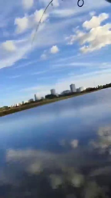 Подсек так подсек #fishing #рыбалка смотреть онлайн