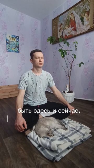 что есть медитация #медитация #силасознания #любовь #м? смотреть онлайн