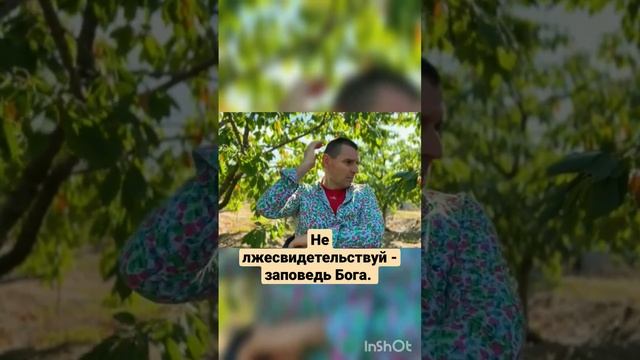 Не лжесвидетельствуй - заповедь Бога! Отец лжи и пропа? смотреть онлайн