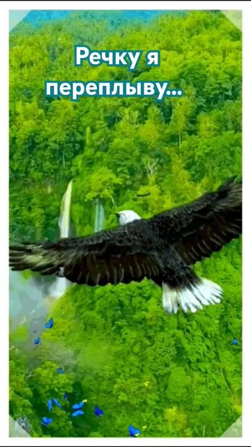 У реки два берега... смотреть онлайн