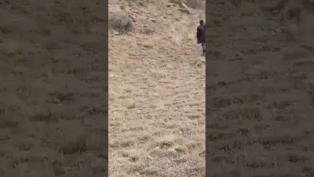 Көк Таш айыл өкмөтундө кыргыз өзбек чек арасында жагдай татаал чондор кайда бир нерсени чече алаюбы смотреть онлайн