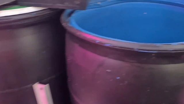 Флосстуб февраля, чудо-теплица, про мою учёбу и как все смотреть онлайн