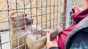 Елисей и Лида НЕ ОБРАЩАЮТ ВНИМАНИЕ на Люську и она попросилась ДОМОЙ