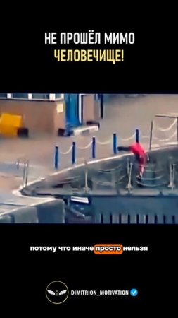 Случайный прохожий спас котенка #добро