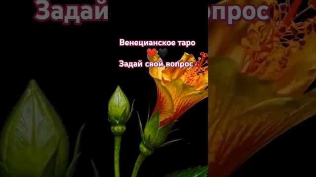 Записывайтесь онлайн в любое время. Ссылка в описании смотреть онлайн